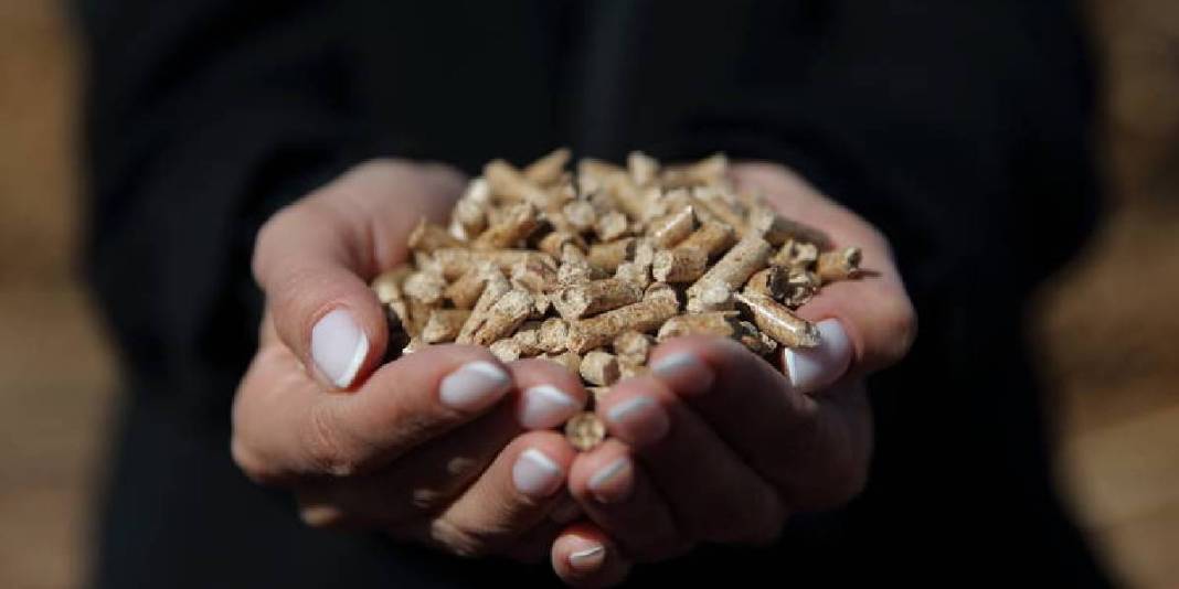 Finansman bulamadı, devletten destek aldı! Atık dönüşümünden ekonomiye büyük katkı: 22 kişiye de istihdam sağladı 5